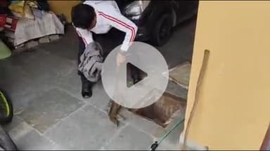 लाडपुरा: रंगबाड़ी क्षेत्र के एक घर में घुसी 3 फीट लंबी जंगली छिपकली, मॉनिटर लिजार्ड परिवार ने किया रेस्क्यू