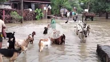 सांगोद: मोईकलां की रेत्या बस्ती में जलभराव से लोगों को हो रही परेशानी, पुलिया निर्माण की मांग