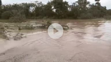 मारवाड़ जंक्शन: मारवाड़जंक्शन में तेज बरसात से राजकीयावास गांव की नदी में आया तेज बहाव, अन्य गांव से टूटा संपर्क, ग्रामीणों में आक्रोश