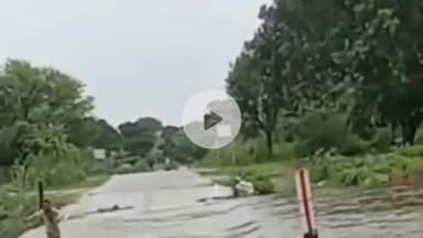 राजसमंद: राजसमंद के मोही में बनास नदी में जान जोखिम में डालने पर युवक चमत्कारिक रूप से बचा