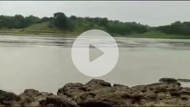 दीगोद: निमोदा हरि जी चंबल नदी में बह गए लोगों की तलाश में बूढ़ादीत इलाके में पुलिस का चल रहा तलाशी अभियान, अब तक 4 शव मिले