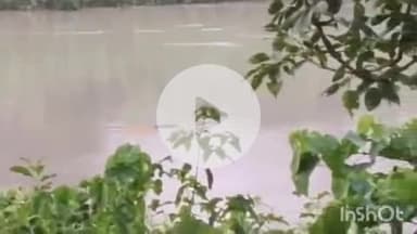 बहराइच: चहलवा में शौच के लिए गई महिला को मगरमच्छ ने नहर में खींचा, हमले में महिला की हुई मौत