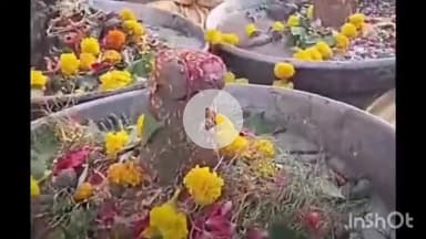 विदिशा नगर: विनायकबैंकटहॉल में पार्थिव शिवलिंग निर्माण व श्रीरामकथा पूर्ण, रविवार को शोभायात्रा निकालकर नदी में विसर्जन