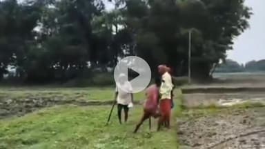 सत्तर कटैया: बिहरा थाना क्षेत्र: भाई ने भाई पर कुदाल से किया हमला, 16 जुलाई का वीडियो अब वायरल