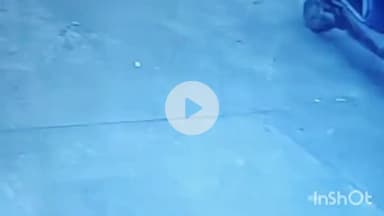 विदिशा नगर: दिनदहाड़े मोटरसाइकिल पर सामान लेकर चोर हुए फरार, कॉलोनी वासियों ने कालोनाइजर पर लगाया आरोप