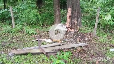 कोरबा: कॉफी प्वाइंट मुख्य मार्ग पर वाहन दुर्घटनाग्रस्त होने से 2 घायल, वाहन की टक्कर से टूटे बिजली के खंभे