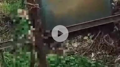 बमोरी: आकोदा गांव में करंट लगने से दुधारू भैंस की मौत