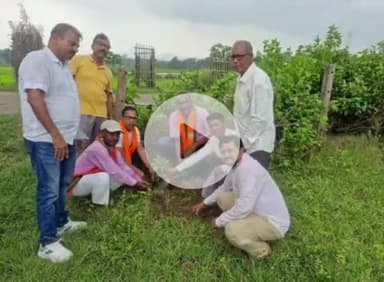 पटमदा: पटमदा मंडल भाजपा ने आगुईडंगरा गांव में वृक्षारोपण कार्यक्रम का आयोजन किया