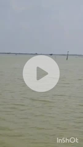 भरतपुर: भरतपुर के केवलादेव घना पक्षी विहार में पानी की आवक शुरू, रोजाना 11 क्यूसेक पानी छोड़ा जा रहा