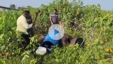 भोकरदन: गावठी हातभट्टी दारू चा अड्डा पोलिसांनी केला उध्वस्त, शेलुद परिसरातील कारवाई