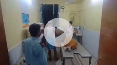 विभूतिपुर: बोरिया में देवर ने भाभी को चाकू मारकर किया घायल, अस्पताल में भर्ती