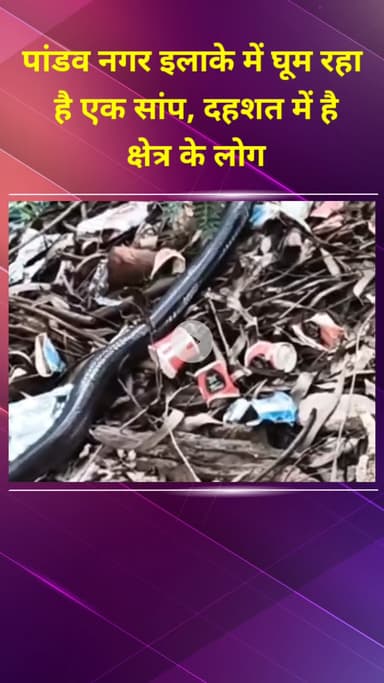 प्रीत विहार: पांडव नगर में घूम रहा है सांप, इलाके में दहशत