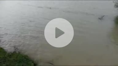 पीपलदा: इटावा उपखंड क्षेत्र में भारी बारिश से खेत जलमग्न, सोयाबीन व धान की फसल बर्बाद, किसान परेशान