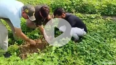 खबर औरैया से संवेदना ग्रुप द्वारा विवेकानंद पार्क में किया गया पर्यावरण गोष्ठी का आयोजन रोपे गए  पौधे