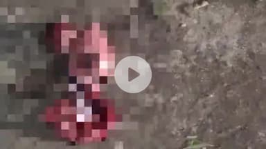 लाडपुरा: कोटा के आदर्श नगर कॉलोनी माला रोड पर मिला नवजात का भ्रूण, इलाके में मची सनसनी और लोगों में आक्रोश