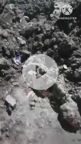 भिवानी: भिवानी सेक्टर 13: प्रशासन की लापरवाही से 7-8 फुट गहरे गड्ढे में गिरी गौ माता, वीडियो वायरल