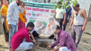 सुल्तानपुर: नगर पालिका अध्यक्ष प्रवीण अग् ने शहर के गभडिया और अमहट इलाके में लगाए पौधे, कहा- पौधारोपण कर बचाएं पर्यावरण, बढ़ाएं जीवन