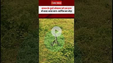 सावन के दूसरे सोमवार को नाग-नागिन का जोड़ा आलिंगन करते नजर आया #shorts #sawansomwar #nagnagin