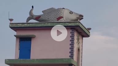कहरा: बैजनाथपुर में घर की छत पर 12 फीट की रेहू मछली का आकार बना आकर्षण का केंद्र, घर चर्चा में