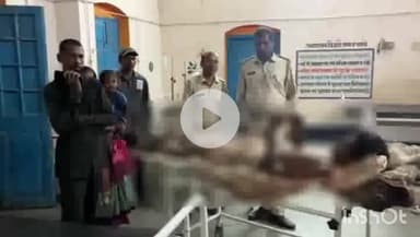 उदयपुर धरमजयगढ़: हाथी ने किया हमला, 17 वर्षीय किशोर अस्पताल पहुंचा, मामला धरमजयगढ़ वन मंडल का, विभाग जांच में जुटा