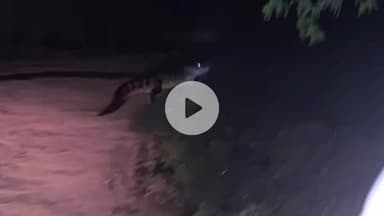 जलेसर: गांव कुसवा में 3 दिन से मगरमच्छ ने डाला डेरा, ग्रामीणों में दहशत का माहौल, शिकायत के बाद भी नहीं पहुंची रेस्क्यू टीम