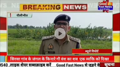 सिरसा गांव के जंगल के किनारे गौ वंश का सव  एक व्यक्ति को दिखा तभी पूरनपुर पुलिस को सूचना दी #news