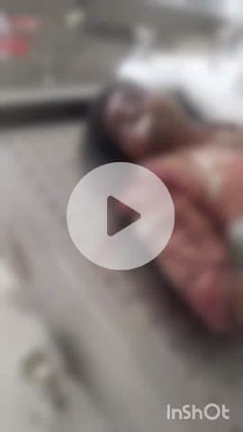 भरतपुर: भरतपुर के पिंगौरा गांव में बड़े भाई ने छोटे भाई की गोली मारकर की हत्या, मामला जमीनी विवाद का बताया जा रहा है