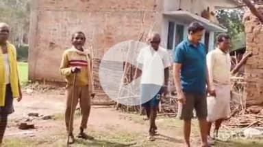 ब्यौहारी: ब्यौहारी के शहरगढ़ में हाथियों का आतंक जारी, कई घरों में की तोड़-फोड़