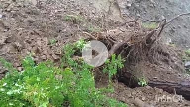 कंडाघाट: वाकनाघाट सुबाथू रोड पर जगह-जगह पेड़ और मलबा सड़क पर आने से बंद, पीडब्ल्यूडी विभाग के कर्मचारी मौके पर मौजूद