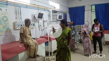 जमुई: शोखो गांव में खेत में काम कर रही महिला को सांप ने डंसा, सदर अस्पताल में कराया भर्ती