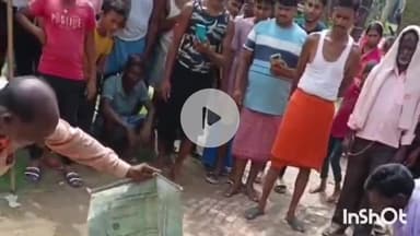 जमुई: गेहूमन सांप के डंसने से बालक की मौत के बाद सपेरा ने पाठक चक में दो गेहूमन सांप पकड़े, देखने के लिए लोगों की लगी भीड़