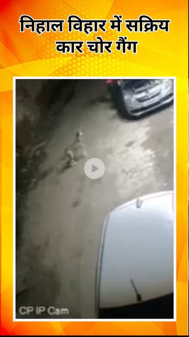 अलीपुर: निहाल विहार में सक्रिय कार चोर गैंग, टेक चंद कॉलोनी में चोरी की वारदात सीसीटीवी में कैद