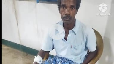 कर्रा: कुदा टंगराटोली में जंगली भालू के हमले से एक व्यक्ति घायल