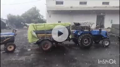 बुदनी: जोशीपुरा वेयरहाउस के बाहर बारिश में भीगी किसानों की मूंग से भरी ट्रॉलियां, उपार्जन कर्मचारी नदारद, वीडियो वायरल