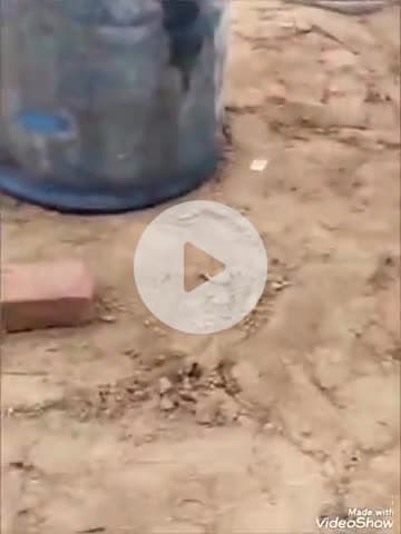 चूरू: चूरू के रतनपुरा में होटल पर डीएसओ की टीम ने की कार्रवाई, 220 लीटर अवैध डीजल किया जब्त