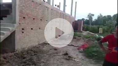 प्रतापगढ़: भीखम पुर गांव से पशुपालक की तीन भैंस खोले गए, मवेशी चोर के खिलाफ पुलिस में की गई शिकायत