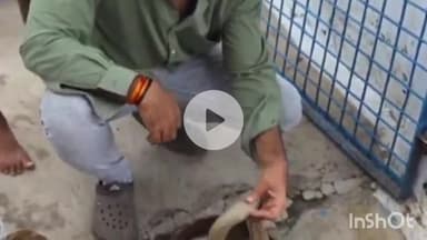 कोरबा: वार्ड-17 पथरीपारा में सांप की टोकरी छोड़कर भागा सपेरा, रेप्टाइल केयर इन रेस्क्यू सोसायटी के अध्यक्ष ने किया रेस्क्यू