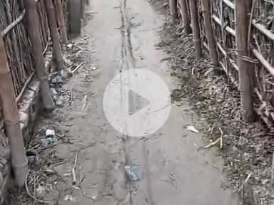 goalpara Prakhand sukhasan Panchayat ka road ka sthiti dekhiae gali ka #videos #viral #सुखासन @manish01063