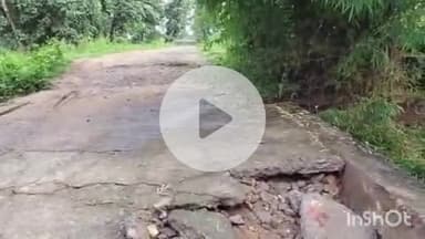 ब्यौहारी: ब्यौहारी के सर्वाही कला में पुल टूटने से ग्रामीणों को परेशानी, सिंचाई विभाग ने बनवाया था पुल