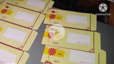 कोरबा: कोरबा में रक्षाबंधन के लिए डाक विभाग की तैयारी पूर्ण, विशेष वाटर प्रूफ लिफाफे की व्यवस्था, लगाई गई पीली डाक पेटी