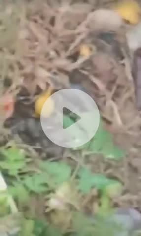 नवाबगंज: सरकारी स्कूल बना पार्टी का अड्डा, देवा ब्लॉक के सरसोंदी विद्यालय में ग्राम प्रधान पर गंभीर आरोप, BSA ने दिए जांच के आदेश