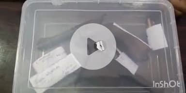 फतुहा: फतुहा पुलिस ने गोविंदपुर देवी स्थान के पास वाहन चेकिंग में दो देसी कट्टा व दो गोली के साथ दो बदमाशों को किया गिरफ्तार