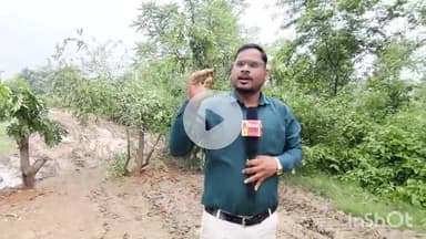 कोरबा: प्रतिबंधित अवधि में रेत तस्करों की चांदी, खुलेआम हो रहा रेत का काला कारोबार, शासन-प्रशासन बेखबर