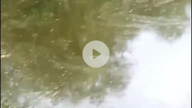 राजसमंद: 'पेड़ों की नगरी' पिपलांत्री की एक और हकीकत, अरना गांव के श्मशान में पानी का राज; विकास के दावे धरे रह गए