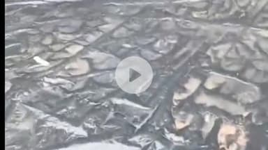 मकरीड़ी: लांगणा में बारिश का कहर, एक परिवार का आशियाना उजड़ा; प्रशासन पर अनदेखी का आरोप