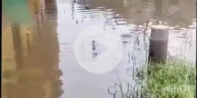 फतुहा: धोवा नदी में जलस्तर बढ़ने से फतुहा नगर परिषद के वार्ड 27 के निचले इलाकों में घुसा पानी