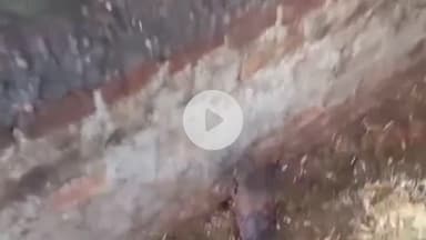 ਫਿਲੌਰ: ਗੁਰਾਇਆਂ ਦੇ ਪਿੰਡ ਜੱਜਾ ਕਲਾ ਵਿਖੇ ਕਿਸਾਨ ਨੂੰ ਬੰਦੀ ਬਣਾ ਕੇ ਉਸ ਤੇ ਚਾਰ ਪਸ਼ੂ ਲੈ ਫਰਾਰ ਹੋਏ ਪੰਜ ਲੁਟੇਰੇ