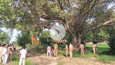 महाराजगंज: पिपरपाती तिवारी में खलिहान की जमीन से अतिक्रमण हटाया गया, हाईकोर्ट के आदेश पर प्रशासन ने की कार्रवाई