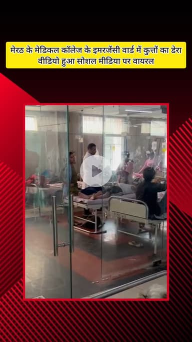 मेरठ: मेरठ के मेडिकल कॉलेज के इमरजेंसी वार्ड में बेड के नीचे कुत्तों का डेरा, वीडियो हुआ वायरल