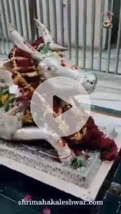 श्रावण शिवरात्रि पर्व पर हार्दिक बधाई एवं शुभकामनाएं आप सभी को
#जयमहाकाल
#Shrawanshivratri